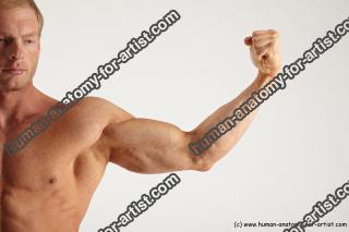 Bodybuilding reference poses of Alberto